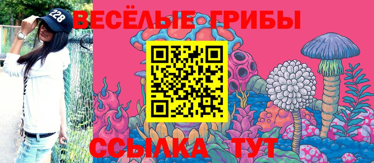 Соль-Илецк  Галлюциногенные грибы ЛСД  Галлюциногенные грибы Cubensis  Вход с VPN 